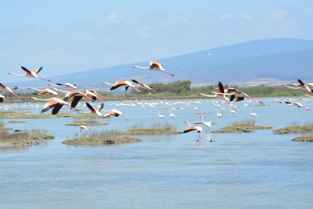 B&B Terre Del Sinis Кабрас Экстерьер фото