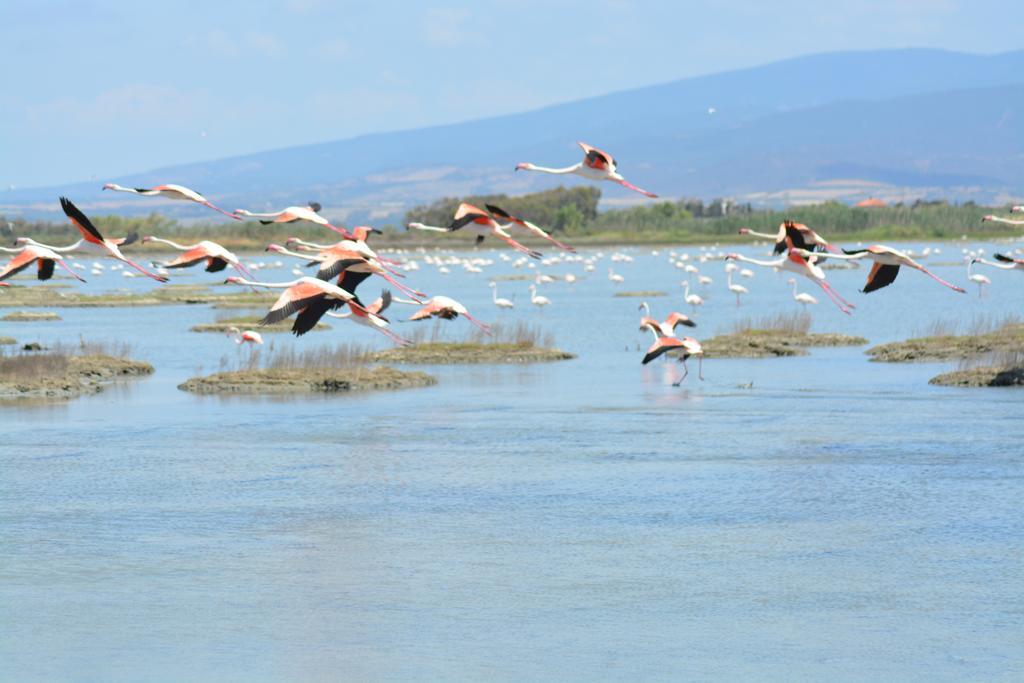 B&B Terre Del Sinis Кабрас Экстерьер фото