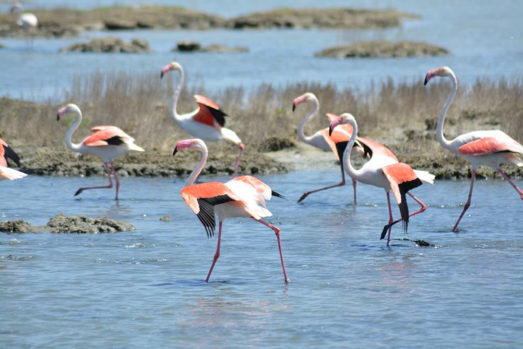 B&B Terre Del Sinis Кабрас Экстерьер фото